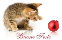 buone feste sm